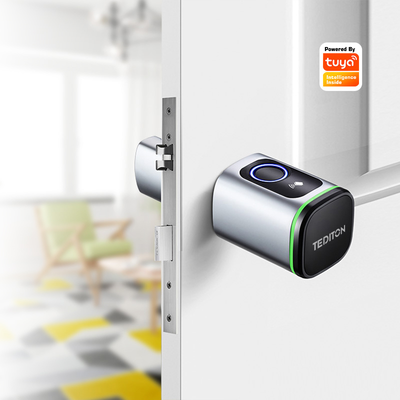 Airbnb Smart Home - กุญแจล็อคประตูอัจฉริยะแบบ Wifi Tuya พร้อมระบบสแกนลายนิ้วมือ สำหรับบ้าน แอพพลิเคชั่น