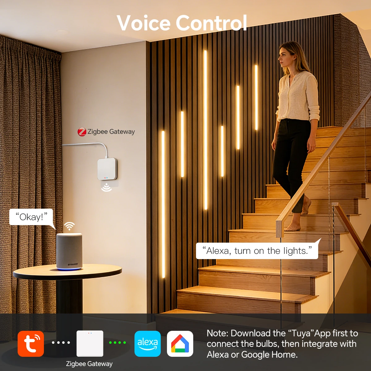 ซิกบี สมาร์ท นีออน ซีโอบีไฟ LE - Smart Home Youtube บทวิจารณ์และราคา